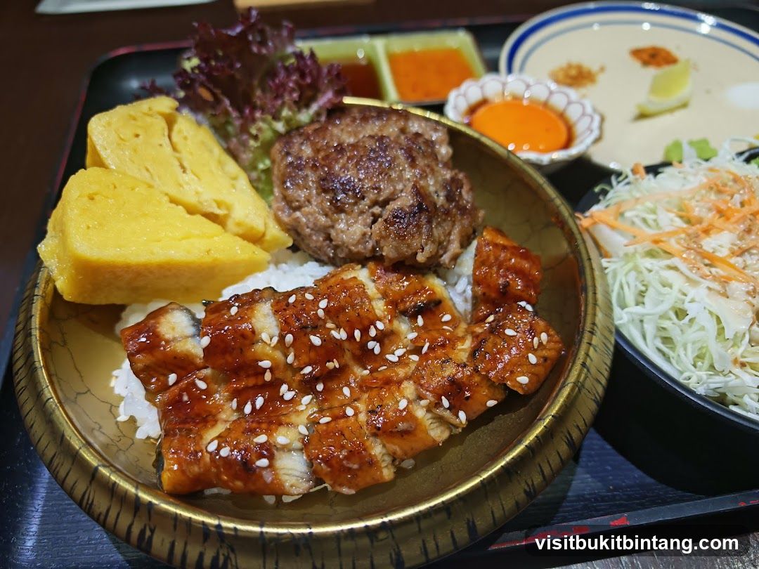 Unagi and Hamburger Steak Rice Bowl