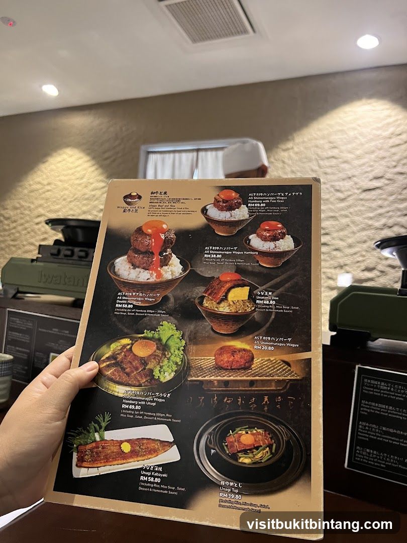 Japanese Beef and Rice Menu