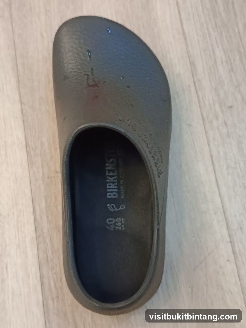 Birkenstock Shoe