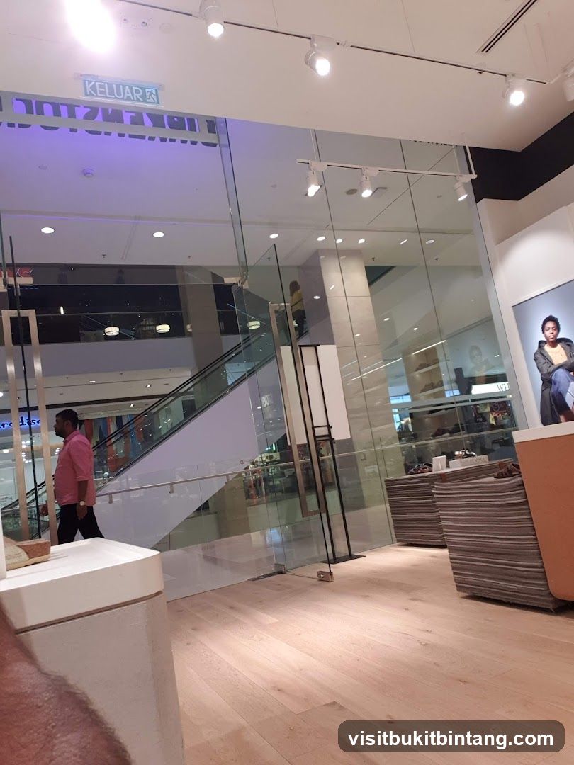 Store Interior with Escalator