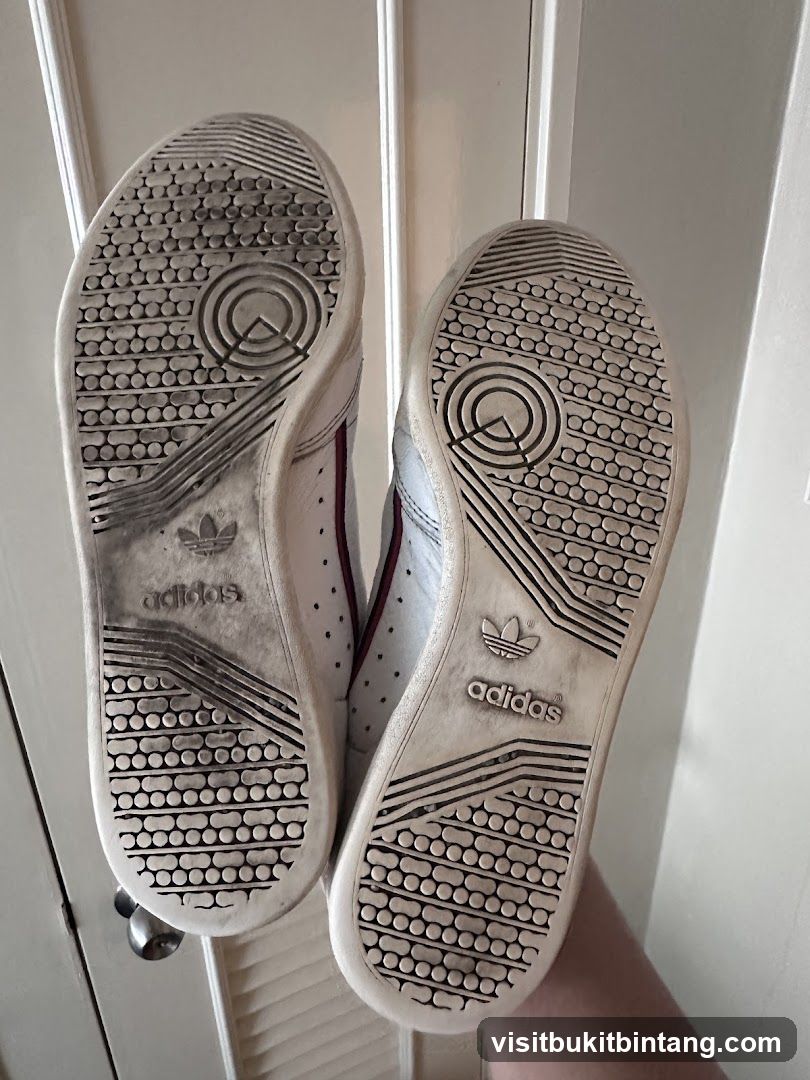 Adidas Sneakers
