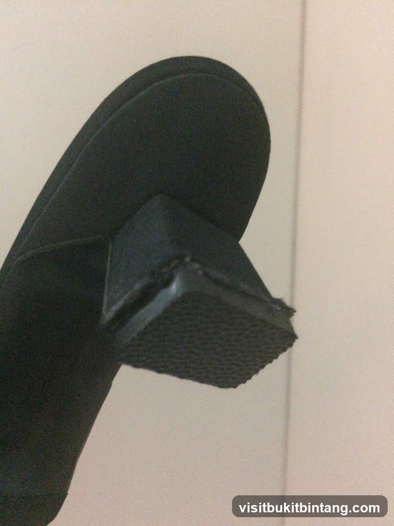 Black Shoe Heel