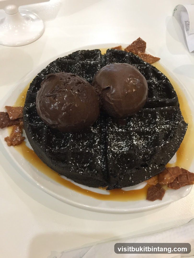 Chocolate Waffle with Ice Cream