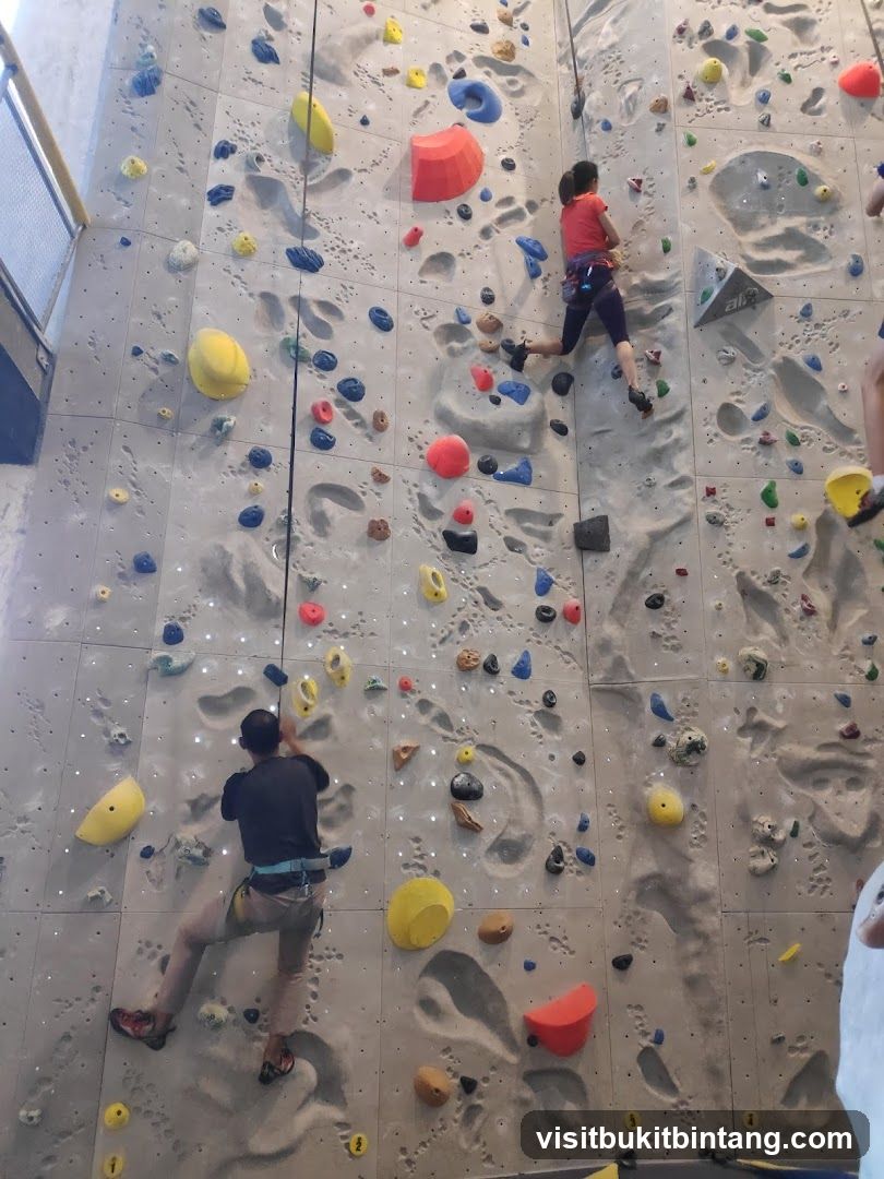 Climbing Wall
