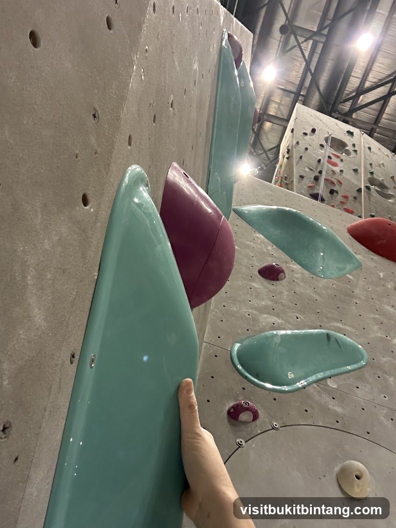Climbing Wall Holds