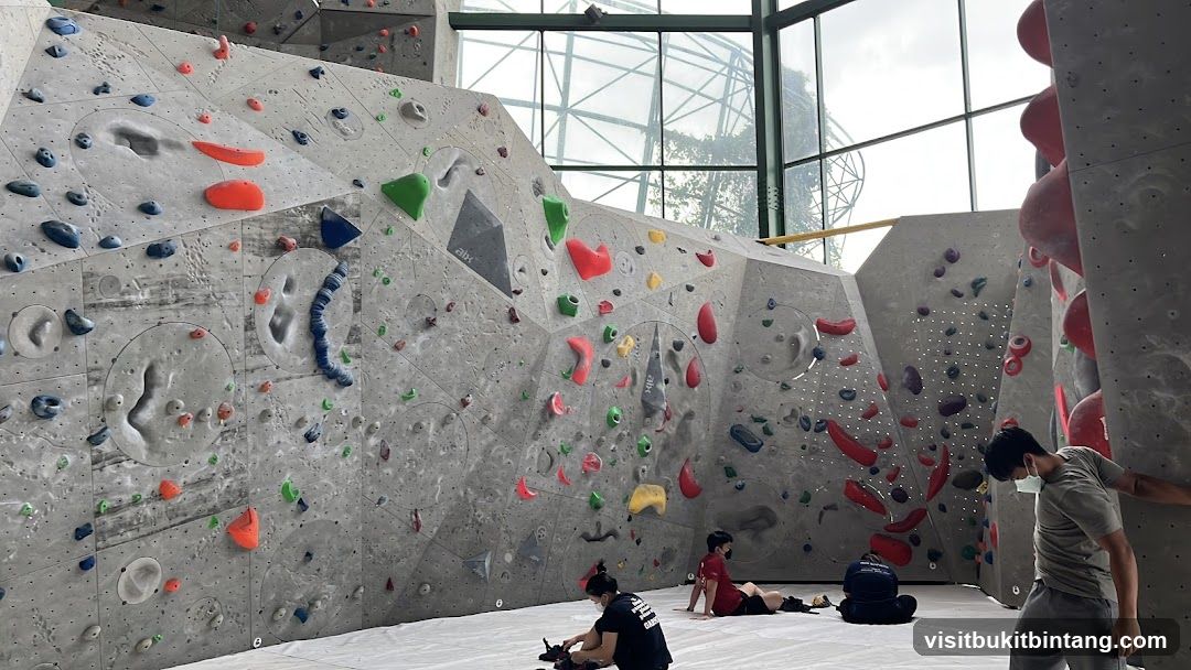 Indoor Climbing Gym