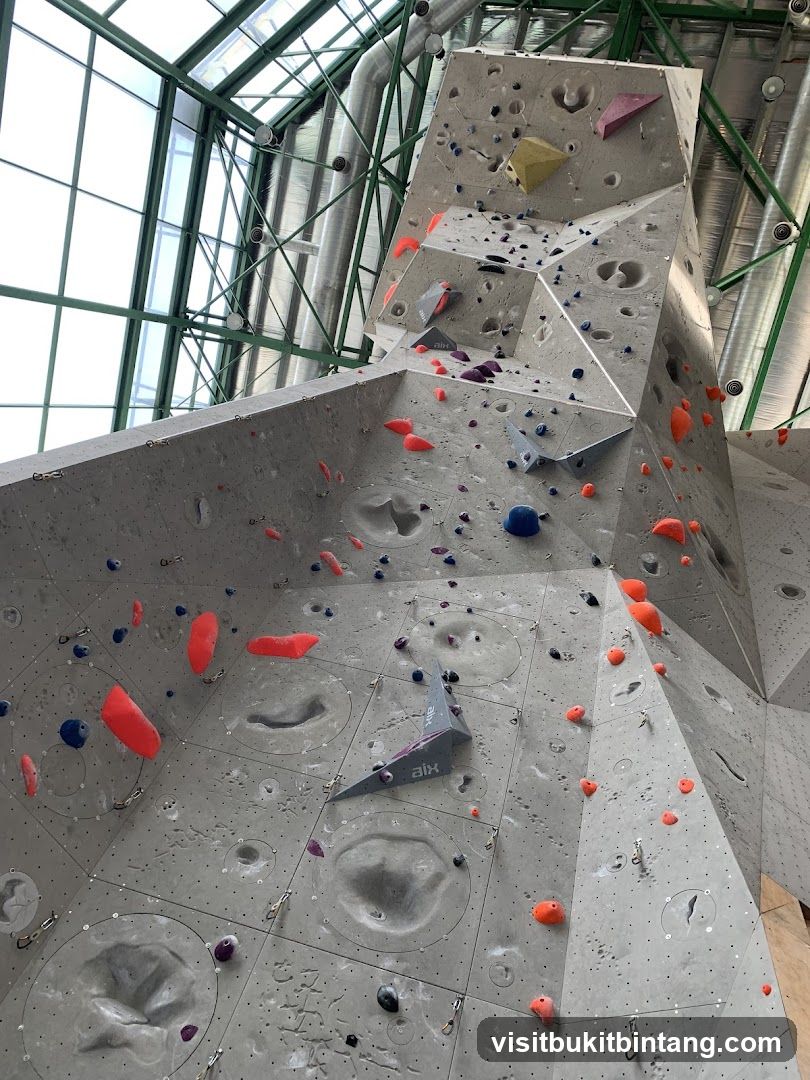 Indoor Climbing Wall