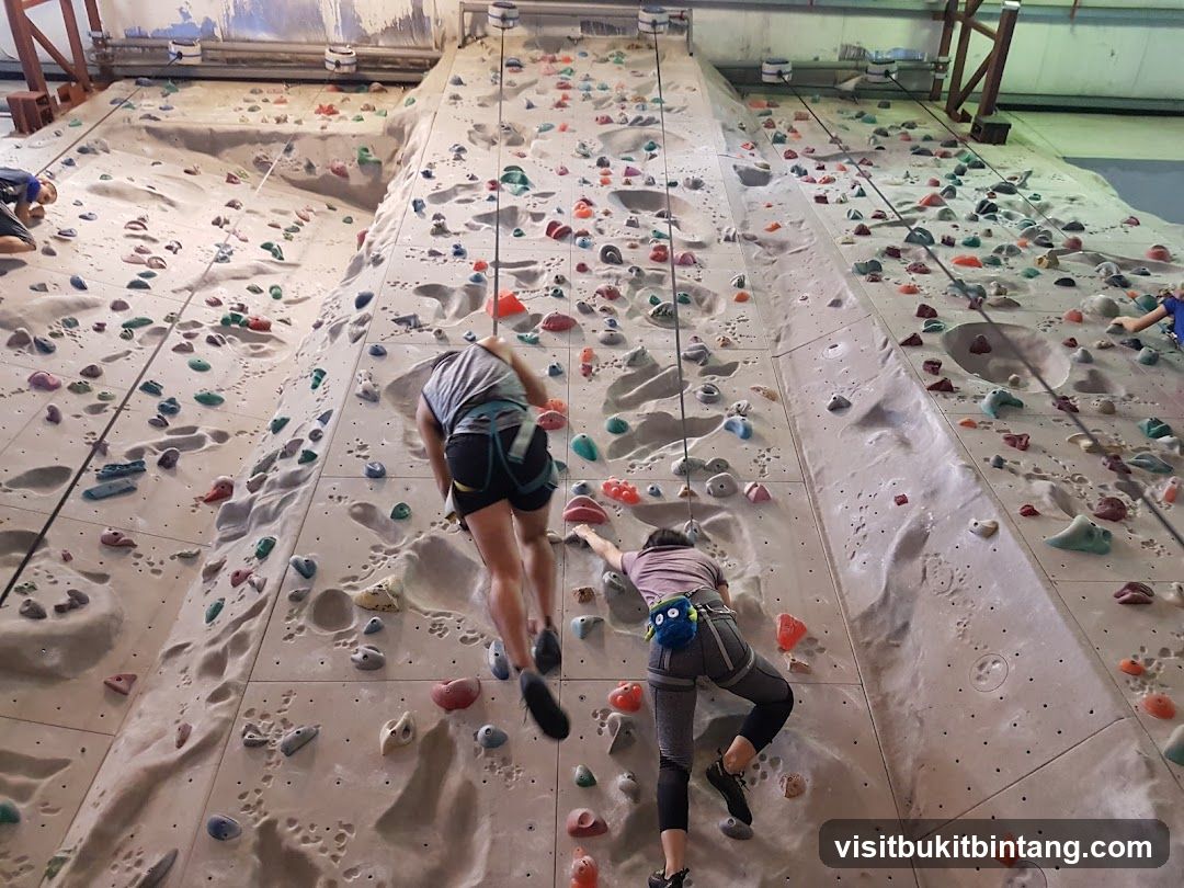 Indoor Climbing Wall