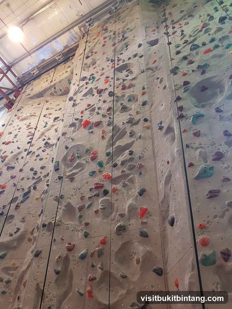 Indoor Climbing Walls