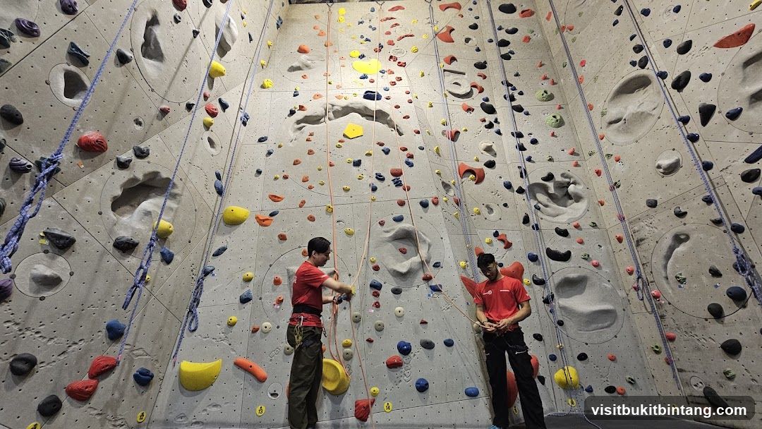 Indoor Climbing Wall
