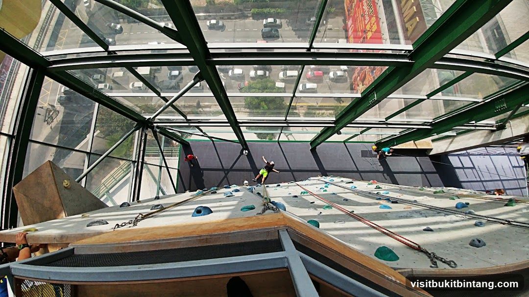 Indoor Climbing Wall