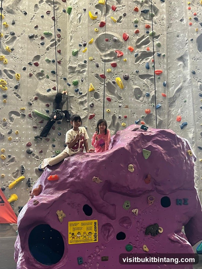 Children on a climbing wall
