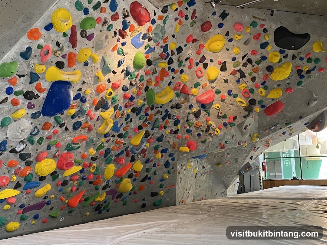 Climbing Wall with Colorful Holds
