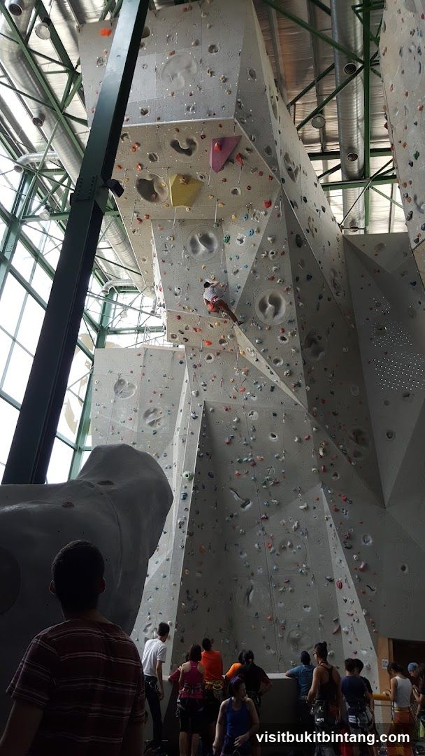 Indoor Climbing Wall