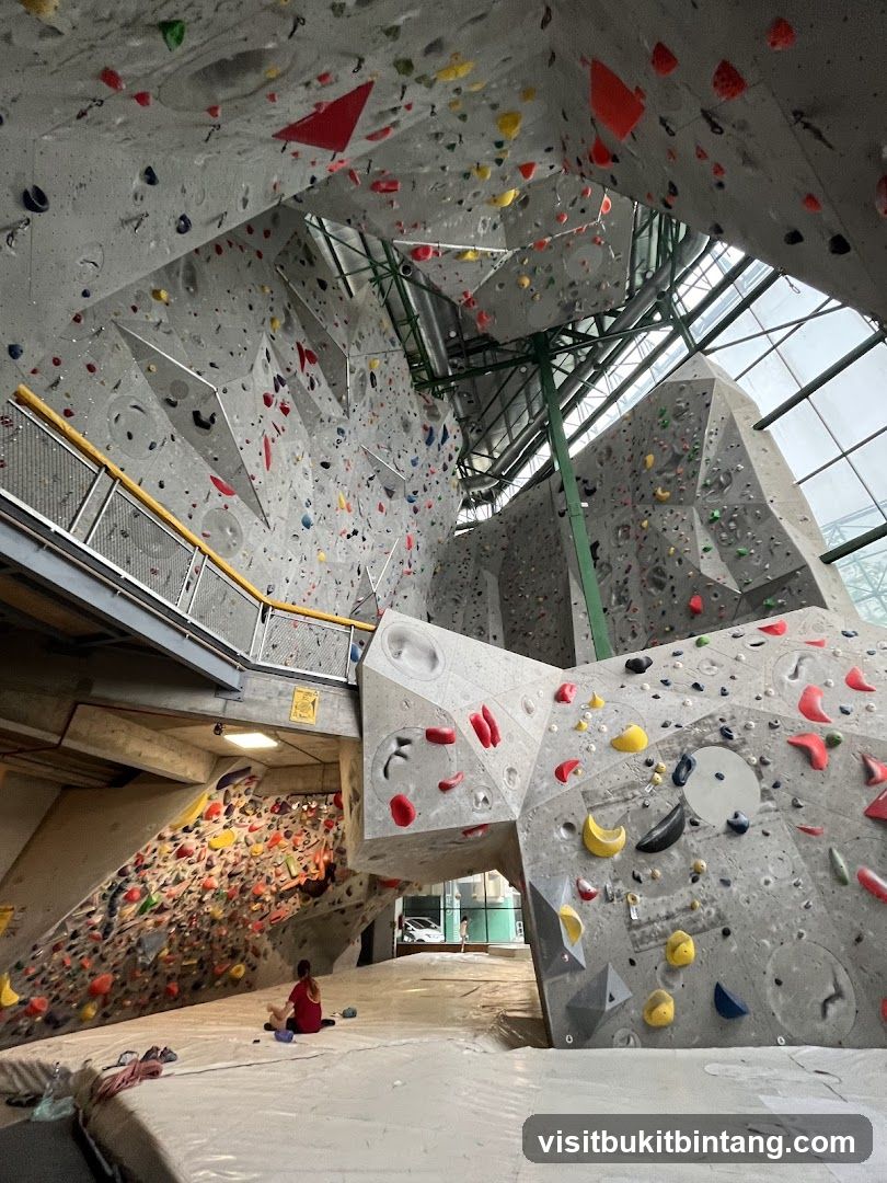 Indoor Climbing Gym