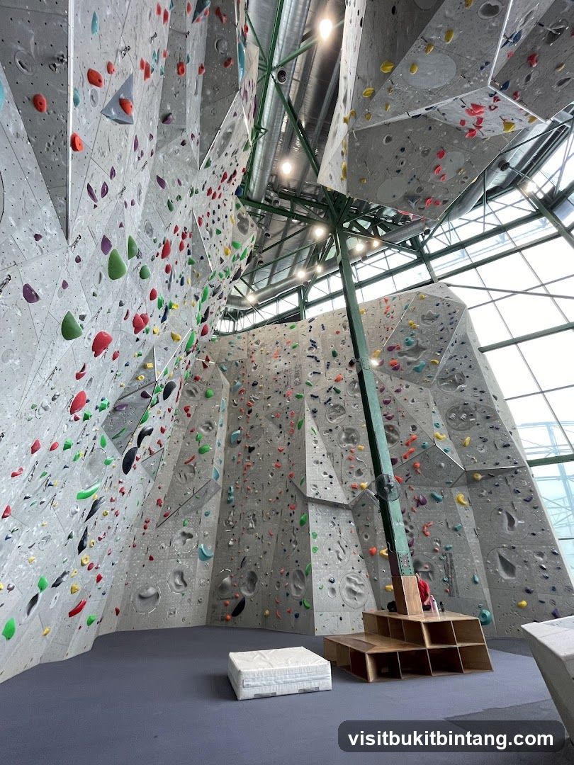Indoor Climbing Gym