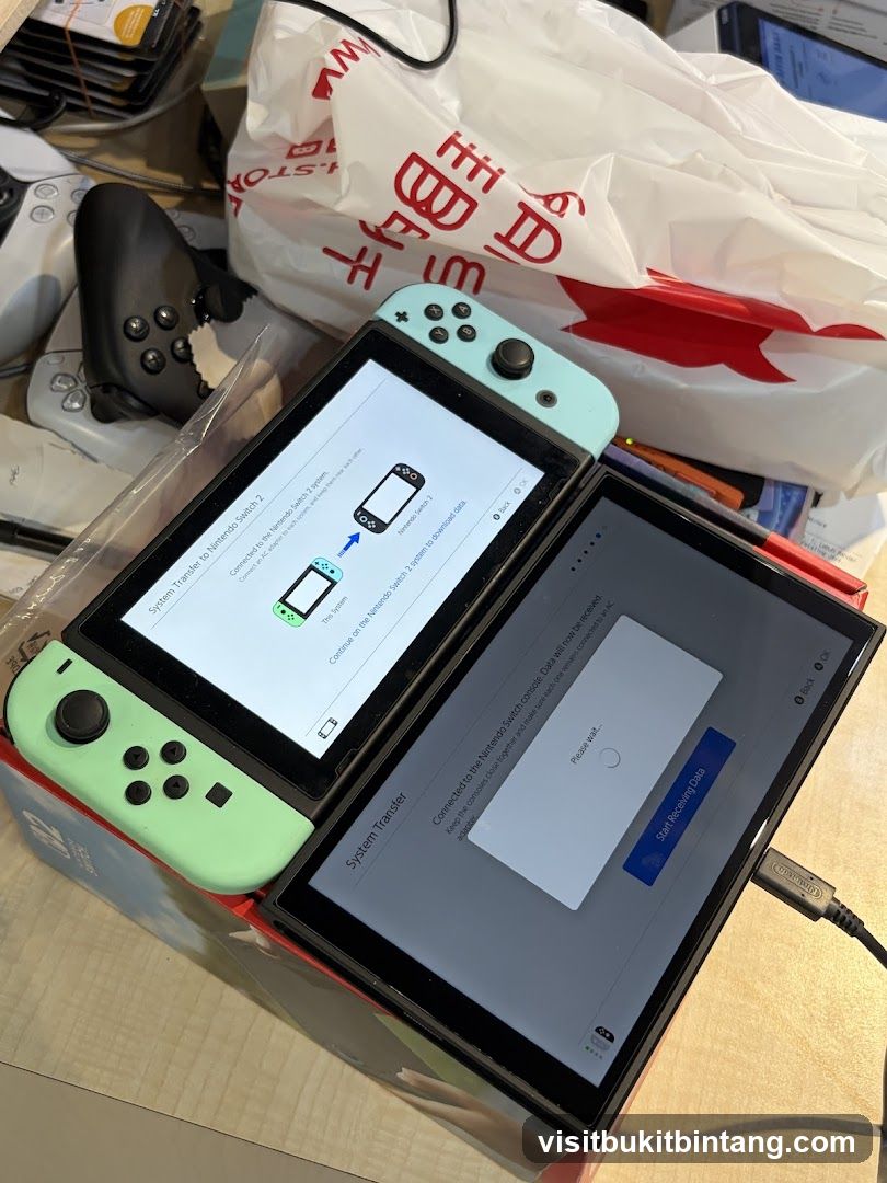 Nintendo Switch System Transfer