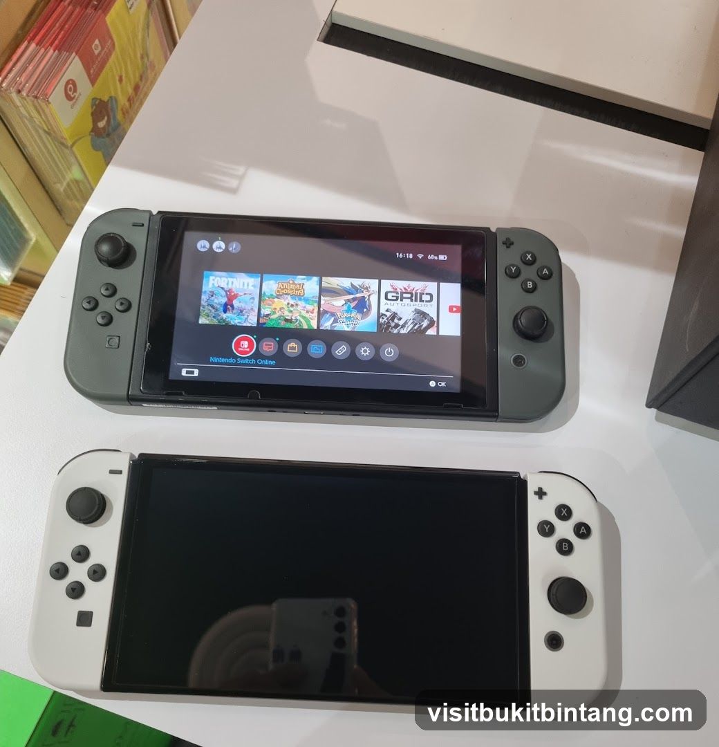 Nintendo Switch Consoles