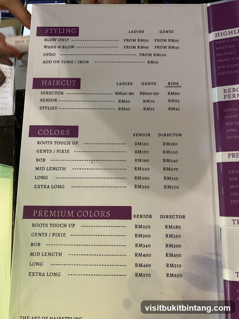 Hair Styling Menu