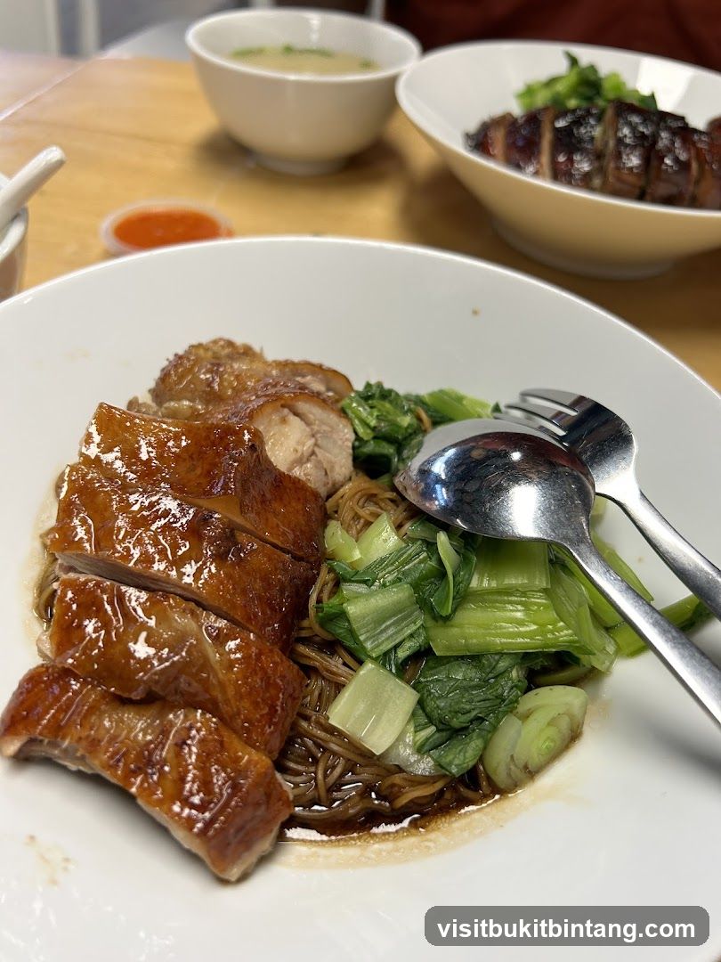 Roast Duck Noodles