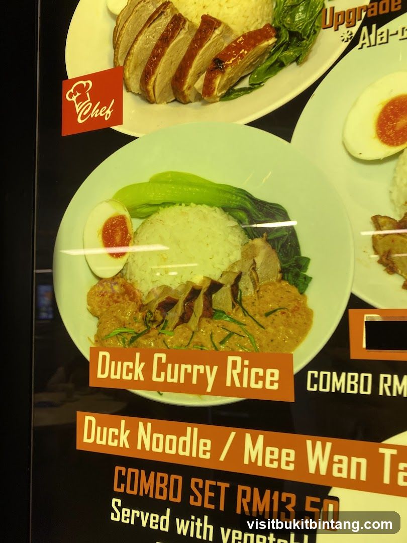 Duck Curry Rice