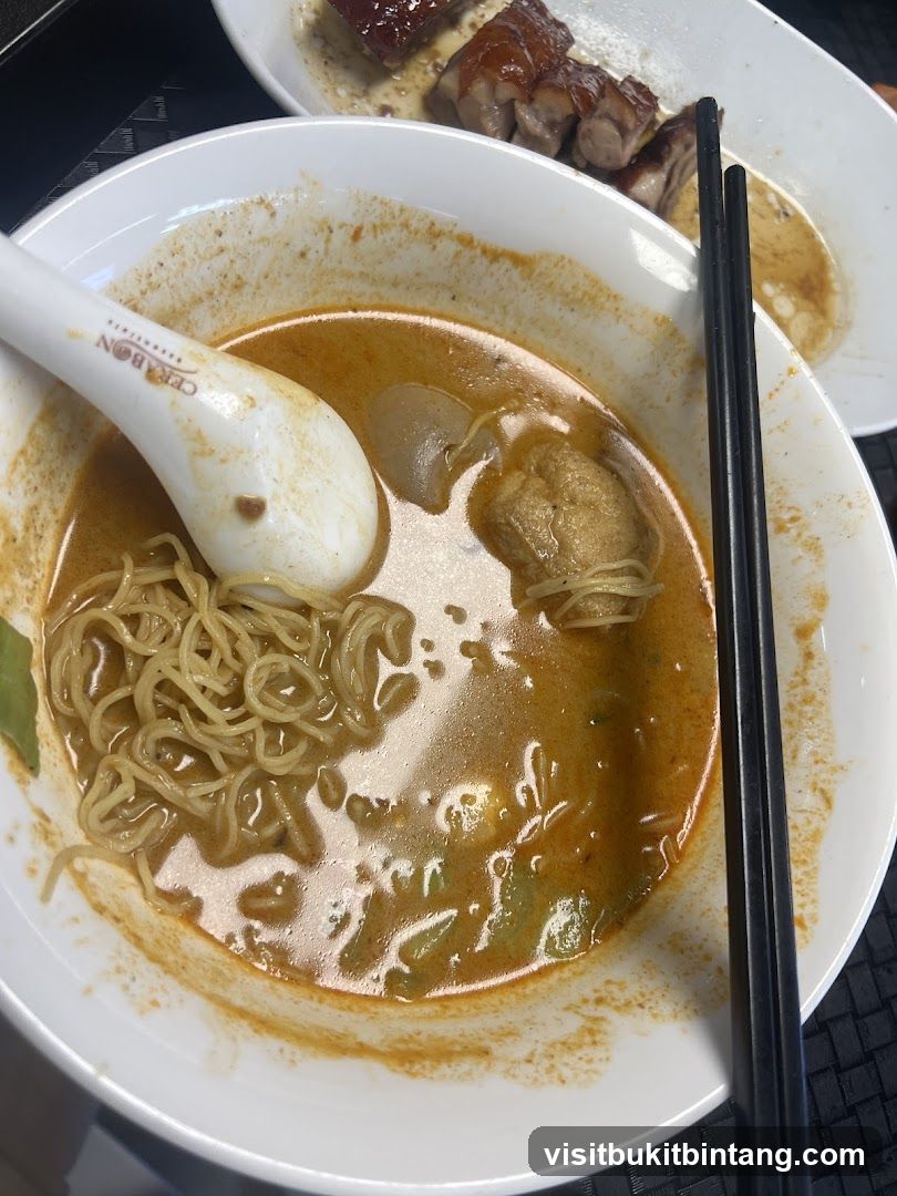 Curry Noodles and Roasted Meat