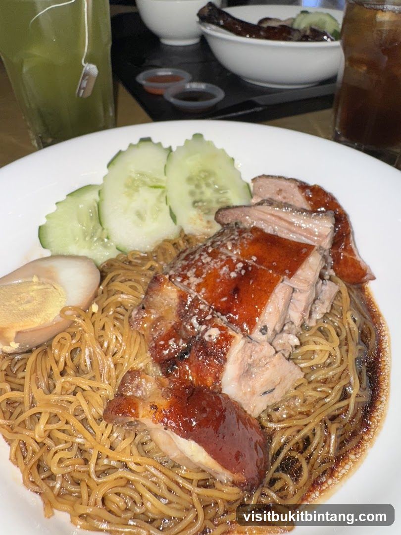 Roast Duck Noodles