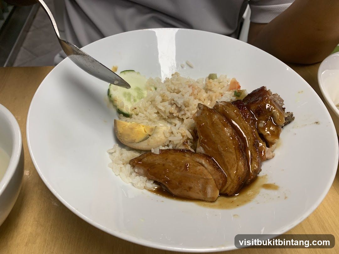 Roast Duck Rice