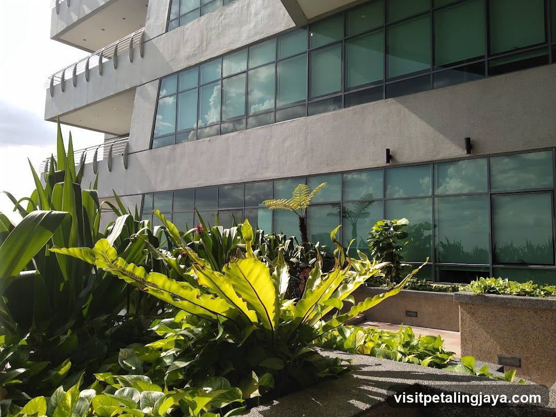 Building Exterior with Greenery