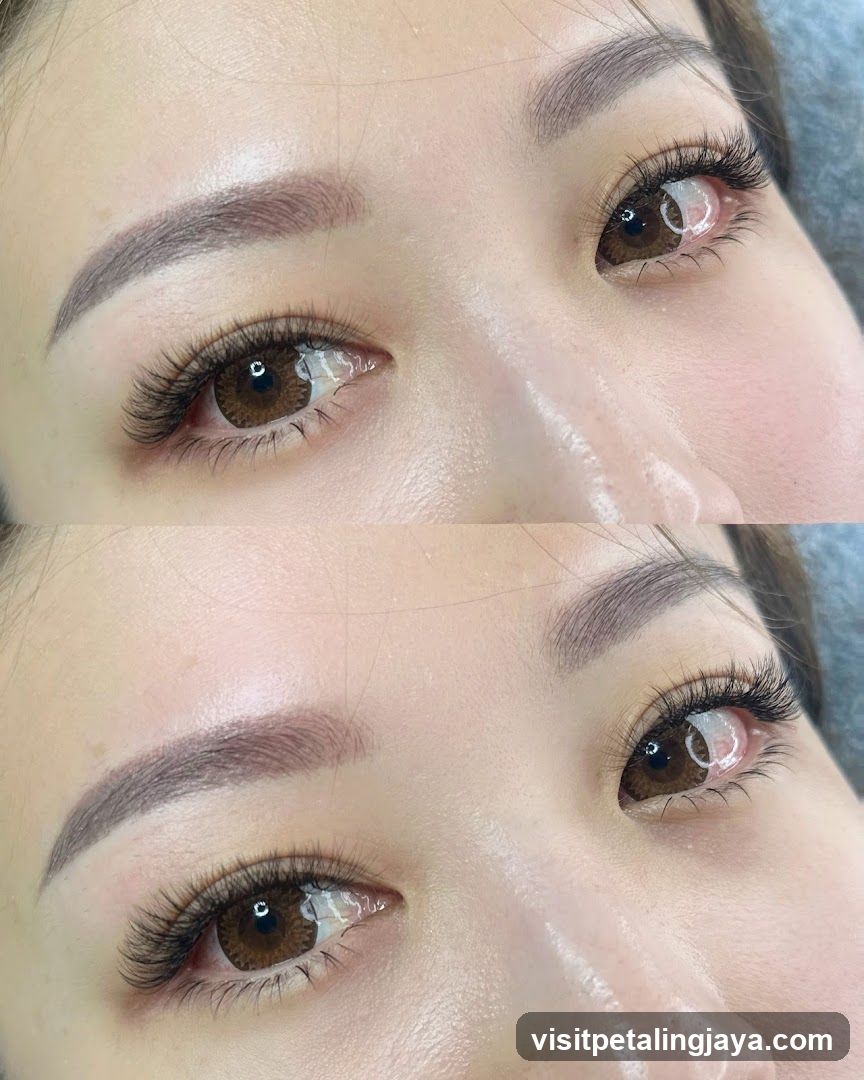 Eyebrow and Eye Makeup Close-up