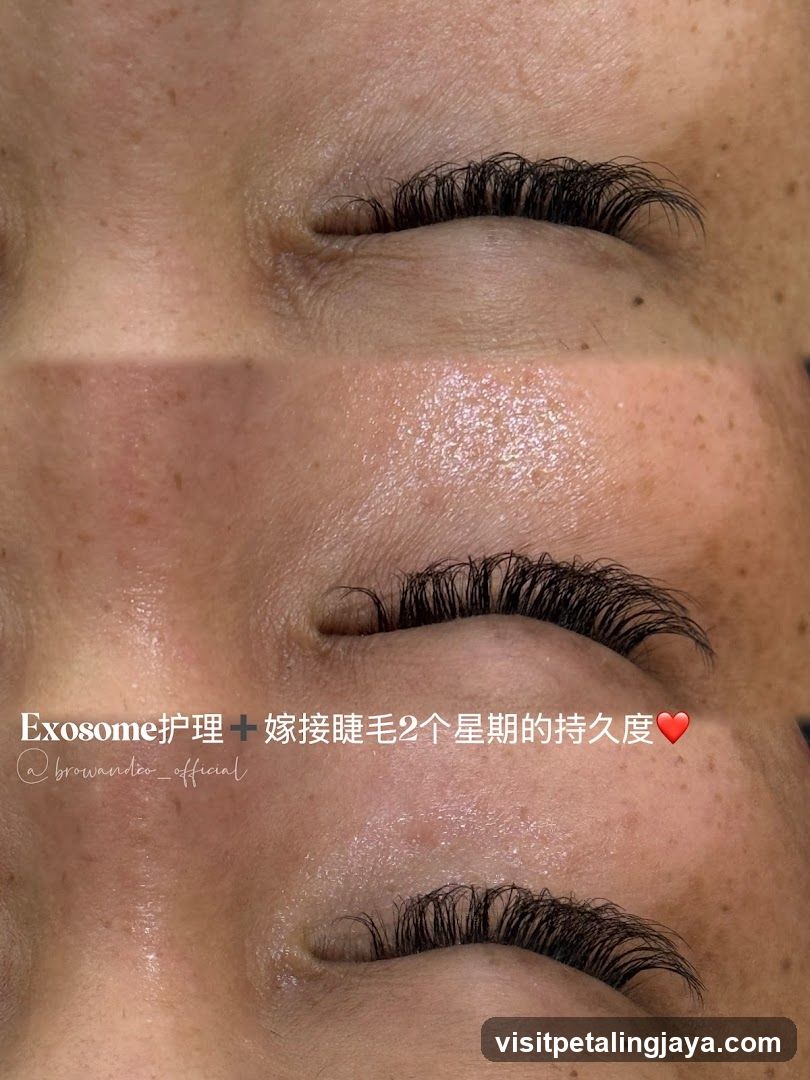 Exosome护理 + 嫁接睫毛2个星期的持久度
