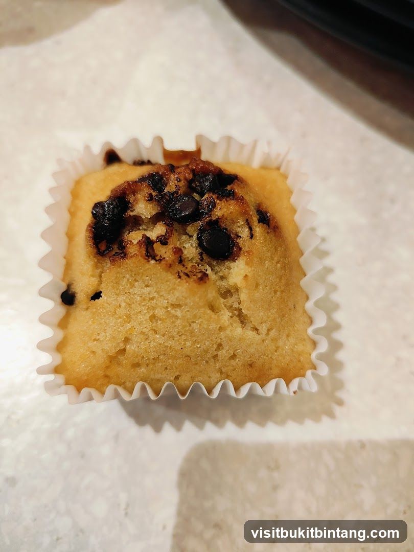 Chocolate Chip Mini Loaf