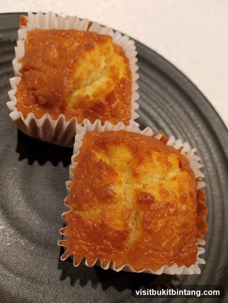 Two Muffins on a Plate