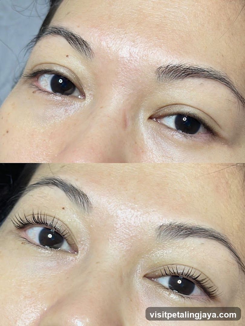 Eye Makeup Comparison