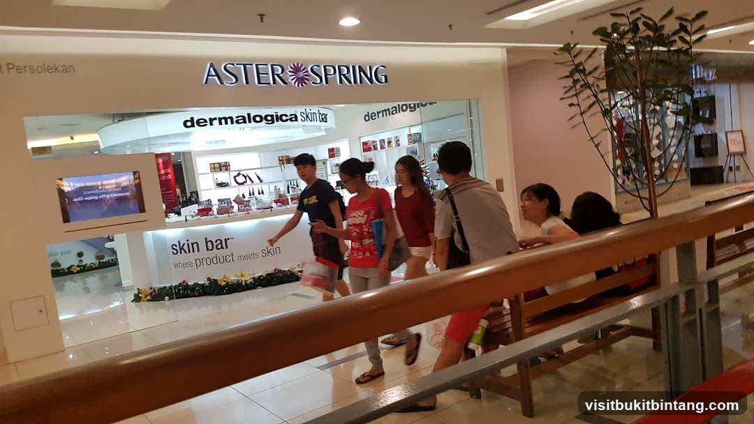 Aster Spring