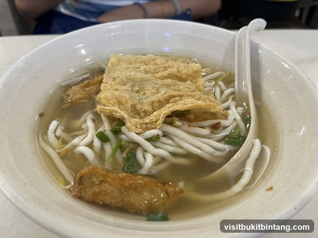 Noodle Soup