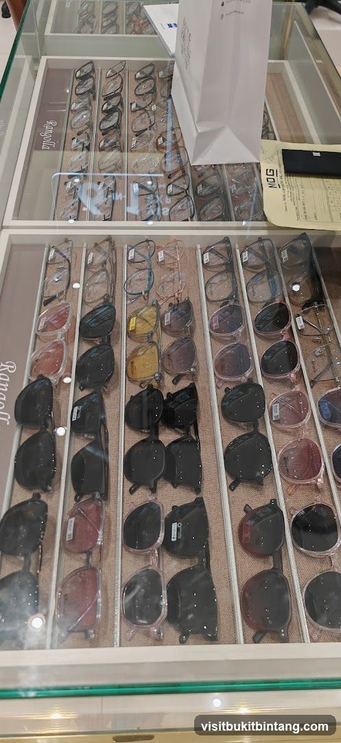 Eyeglasses and Sunglasses Display