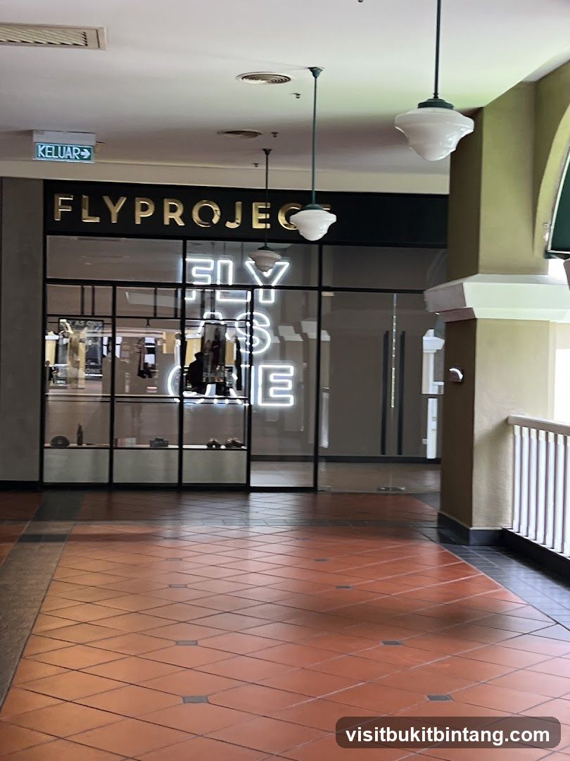 FLYPROJECT THE CURVE