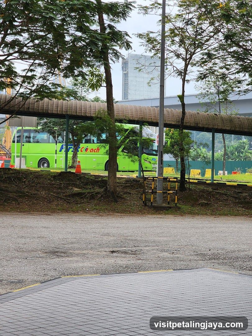 Green Bus at Bus Stop