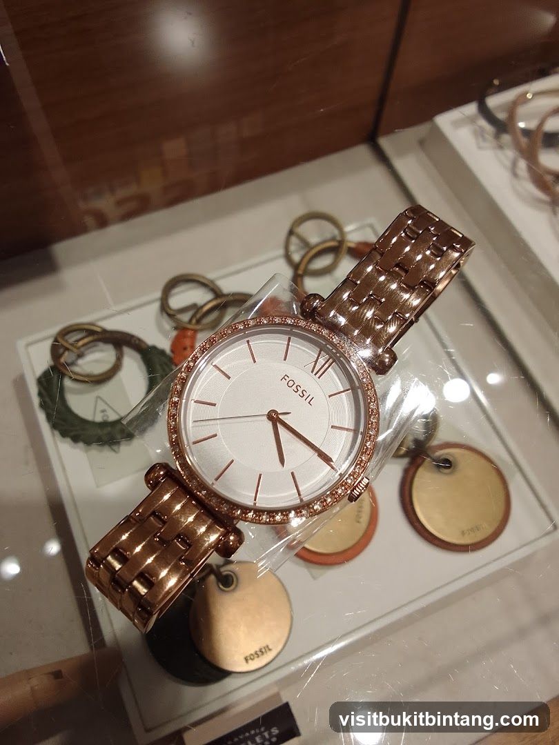 Fossil Watch Display