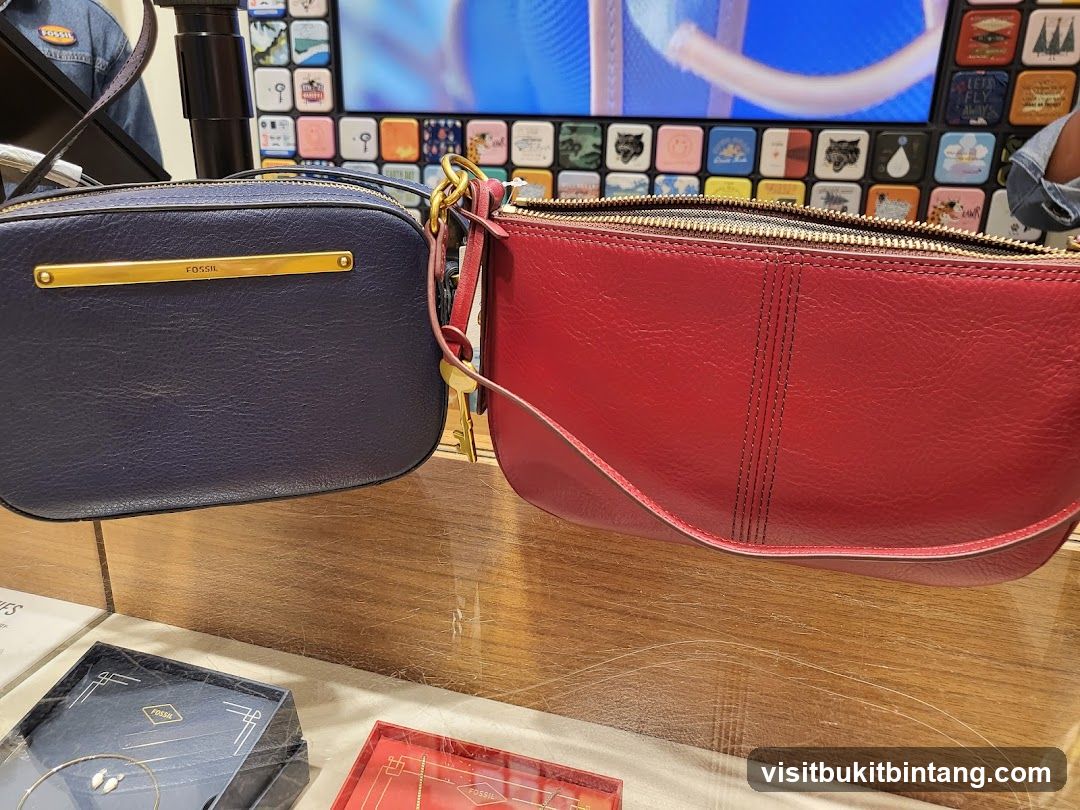 Fossil Bags and Jewelry