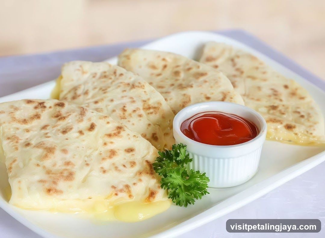 Cheese Quesadillas with Ketchup Dip