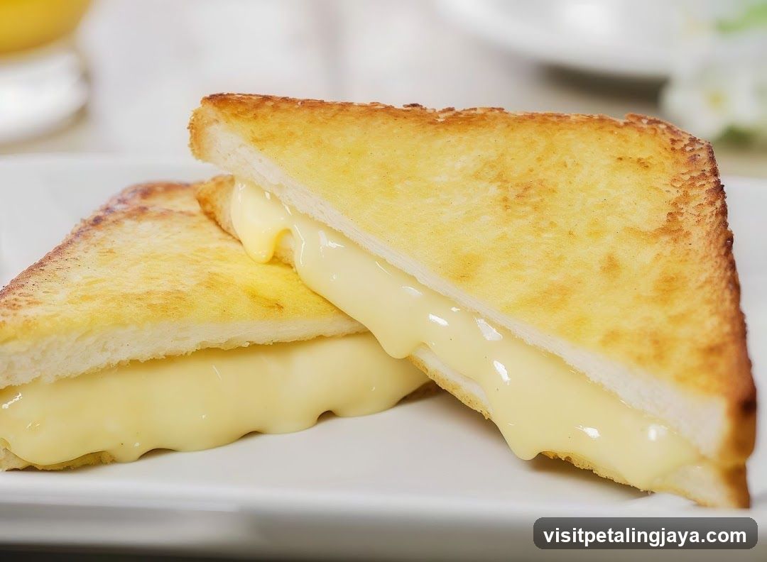 Cheese Sandwich