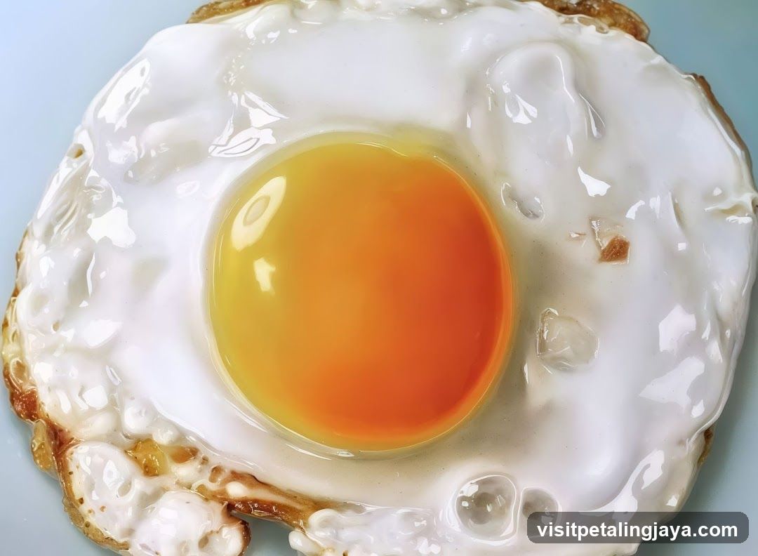 Fried Egg