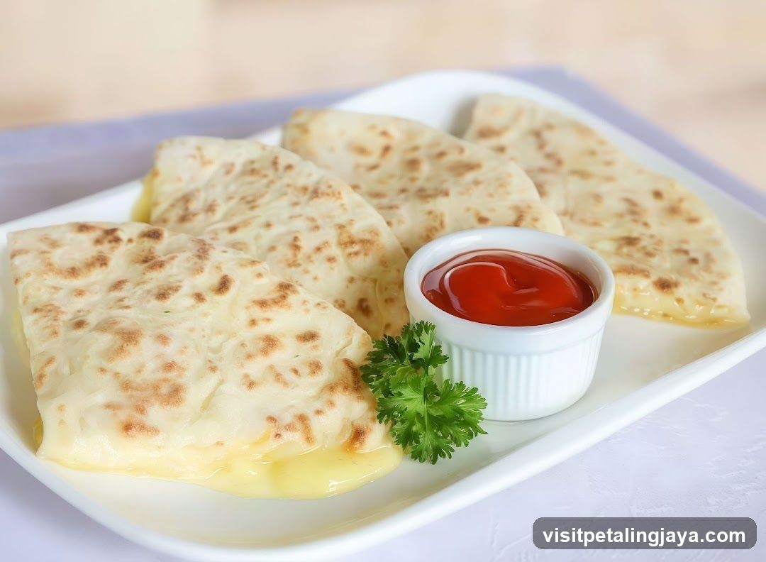 Cheese Quesadillas with Ketchup Dip