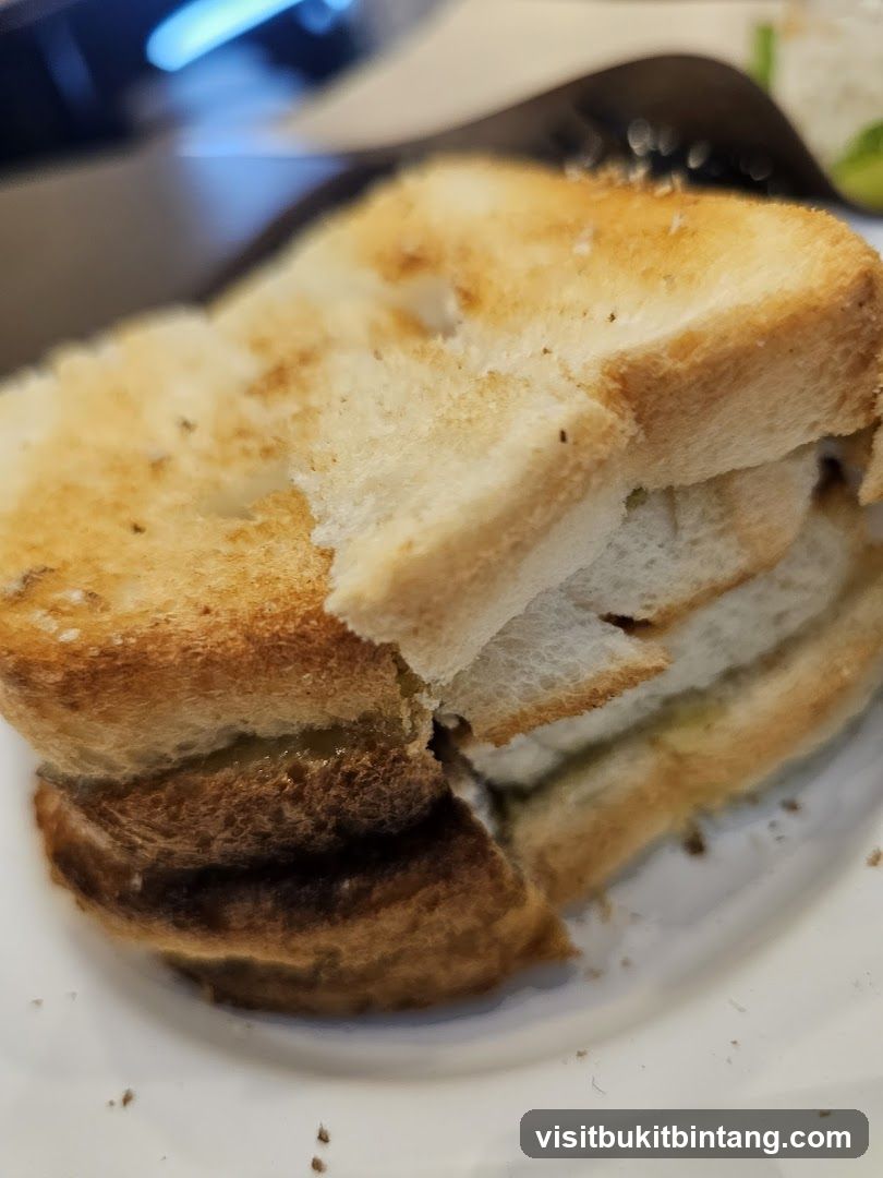 Toasted Sandwich