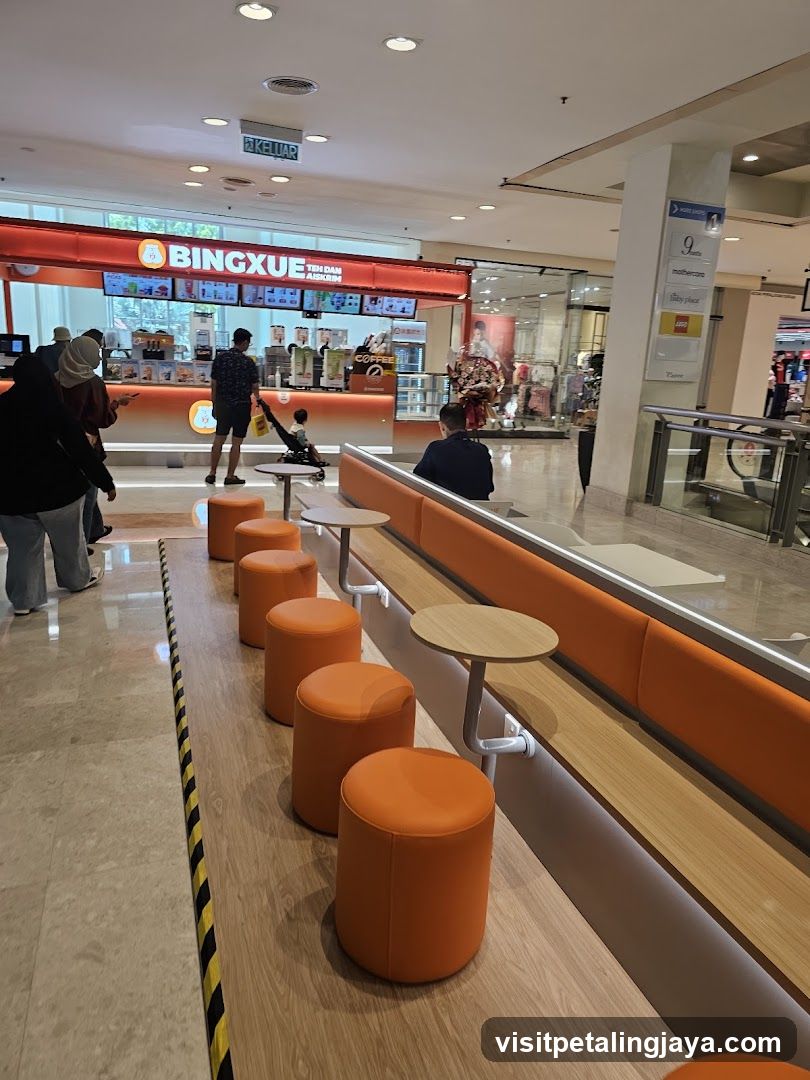 BingXue Interior View
