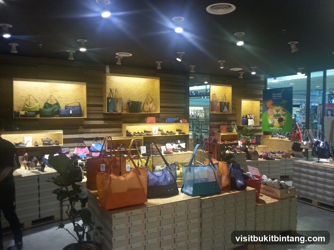 Handbags and Shoes Display