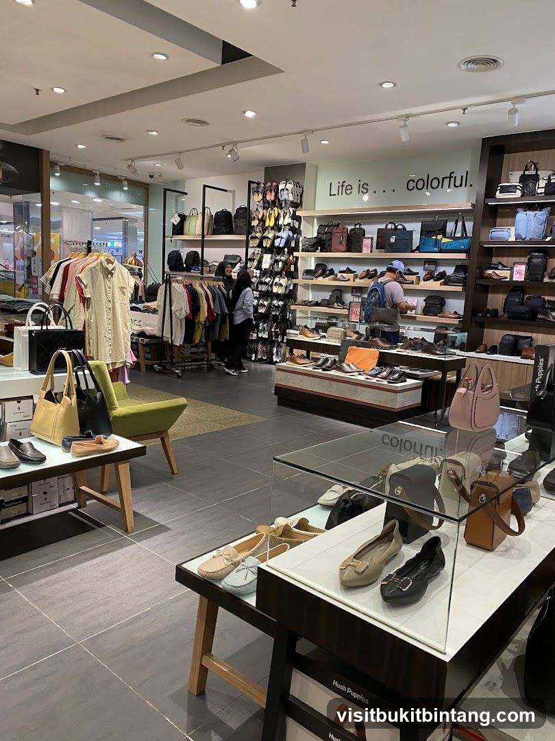 Shoe and Bag Store Interior