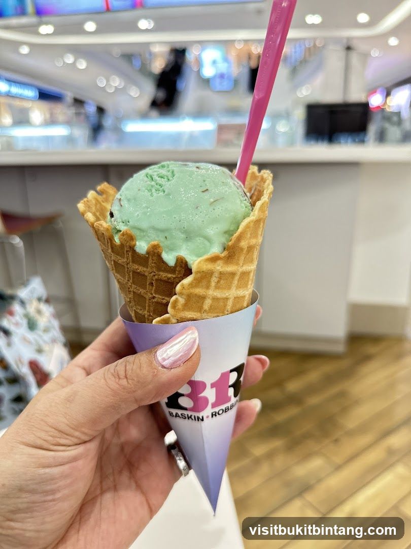 Mint Chocolate Chip Ice Cream Cone